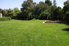 Enlarge photo 83