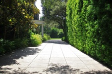 Enlarge photo 96