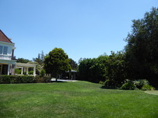 Enlarge photo 113