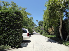 Enlarge photo 121
