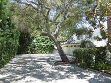 Enlarge photo 163