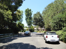 Enlarge photo 169
