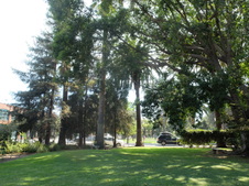 Enlarge photo 61