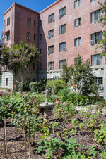 Enlarge photo 222