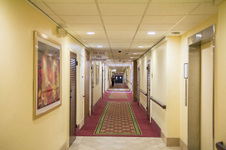 Enlarge photo 62
