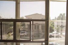 Enlarge photo 81