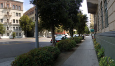 Enlarge photo 46