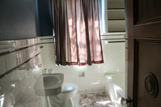 Enlarge photo 84