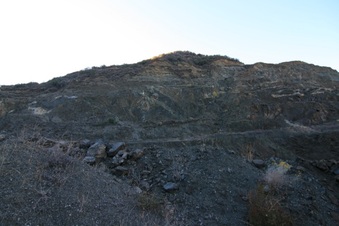 Enlarge photo 121