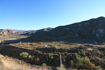 Enlarge photo 127