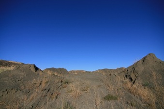 Enlarge photo 147
