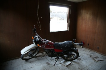Enlarge photo 241