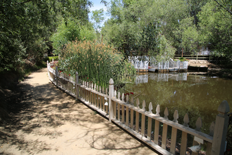 Enlarge photo 19