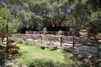 Enlarge photo 21