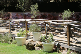 Enlarge photo 22