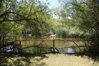 Enlarge photo 35
