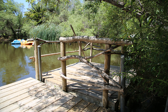 Enlarge photo 38