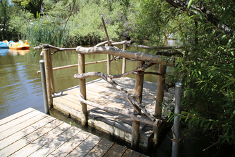 Enlarge photo 41