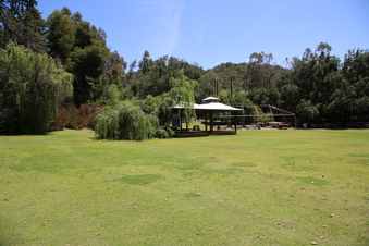 Enlarge photo 42