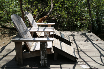 Enlarge photo 46