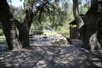 Enlarge photo 57