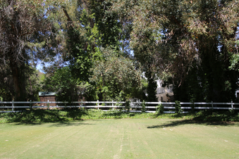 Enlarge photo 70