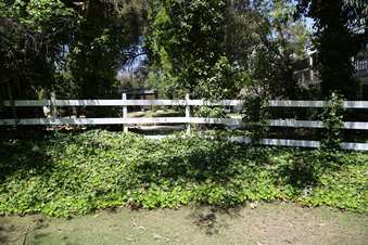 Enlarge photo 71