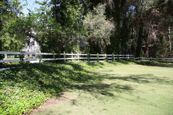 Enlarge photo 73