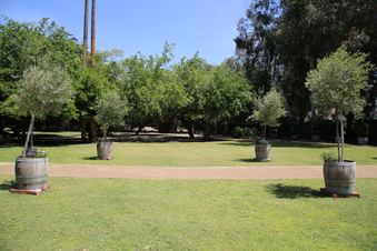 Enlarge photo 90