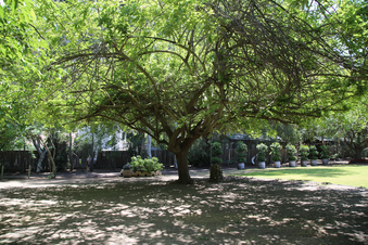 Enlarge photo 93
