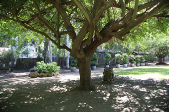 Enlarge photo 94