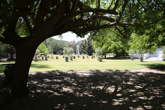 Enlarge photo 95