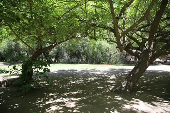 Enlarge photo 96