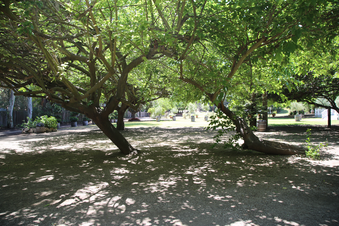 Enlarge photo 97