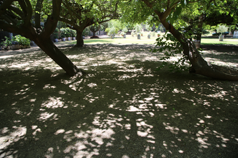Enlarge photo 98
