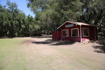 Enlarge photo 113