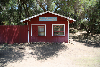Enlarge photo 114