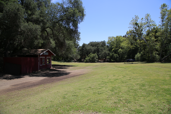 Enlarge photo 116