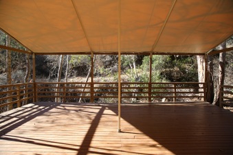 Enlarge photo 51