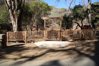Enlarge photo 52