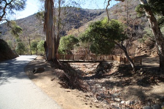 Enlarge photo 53