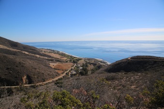 Enlarge photo 73