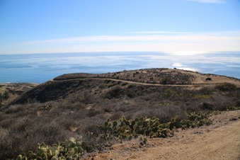Enlarge photo 78
