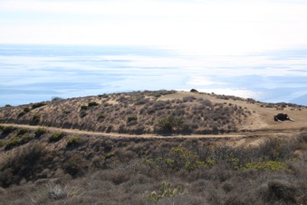 Enlarge photo 81