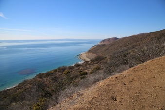 Enlarge photo 82