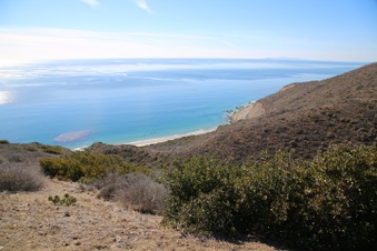 Enlarge photo 85