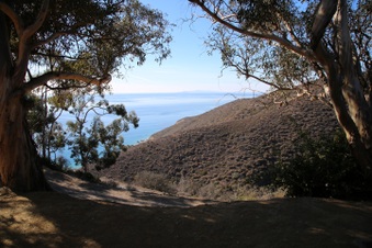 Enlarge photo 94