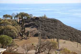 Enlarge photo 124