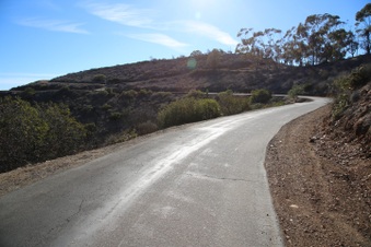 Enlarge photo 152