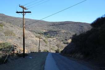 Enlarge photo 153